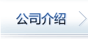 公司介绍 公司介绍