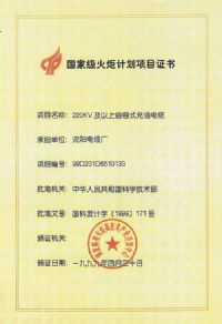 国家级火炬计划项目证书